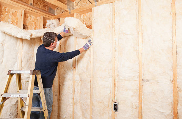 Types of Insulation We Offer in Batesburg Leesville, SC